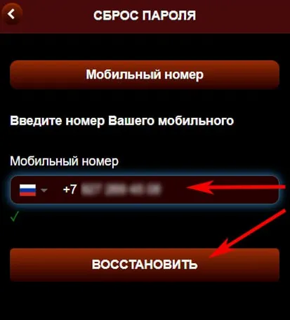Первый экран восстановления доступа к каталогу: номер телефона